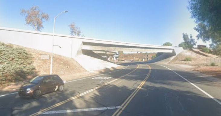 Pacoima Pedestrian Accident