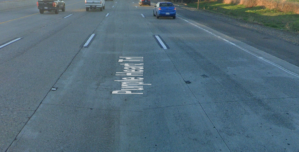 Sacramento Crash 